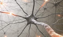 Эндорфины: за что отвечают и как вырабатывать без последствий?